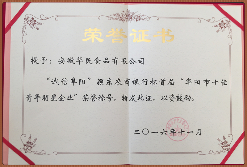 阜陽(yáng)市十佳青年明星企業(yè)